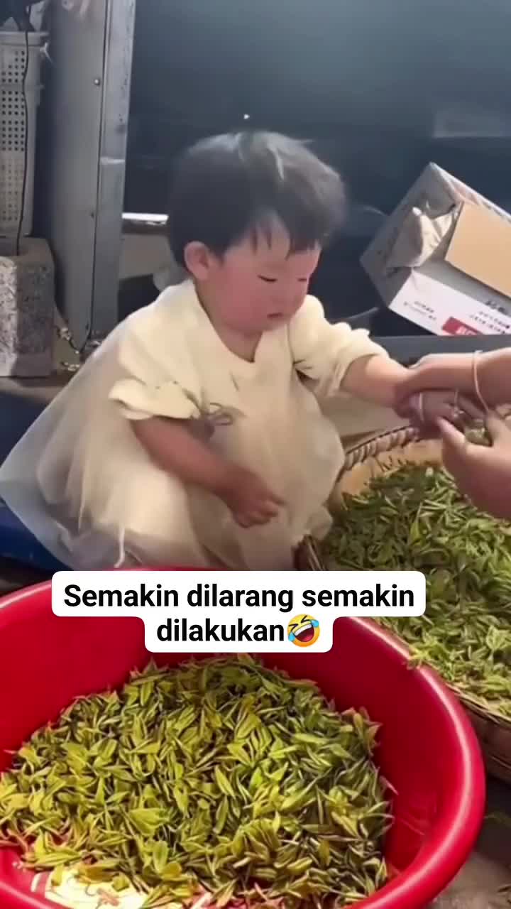 kelakuan bocil lucu
#viral
#video
#bayiajaib 