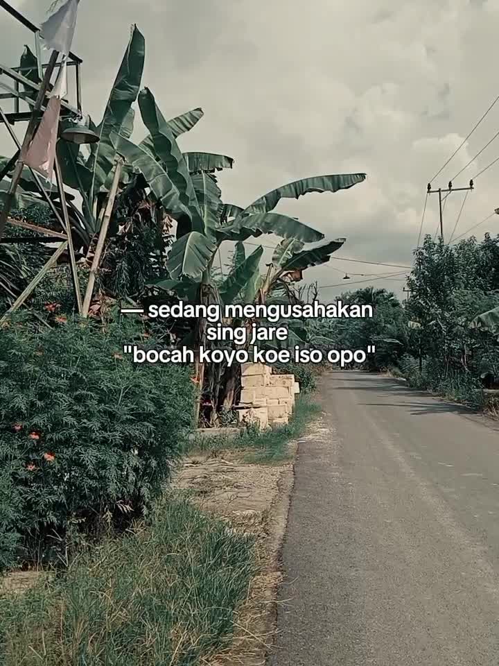  #fyp  #fypシ゚viral  #RCTIPlus  #HOTrctiplus  #icrcti  #RCTIoke  #rctiofficial  #rctipluschallenge  #HomeOfTalentRCTIPlus  #masukberandamuu  