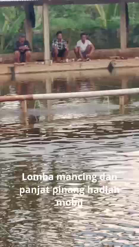 lomba mancing dan panjat pinang hadiah mobil #rctioke#HOTrctiplus  #RCTIPlus  #rctiofficial  #HomeOfTalentRCTIPlus 