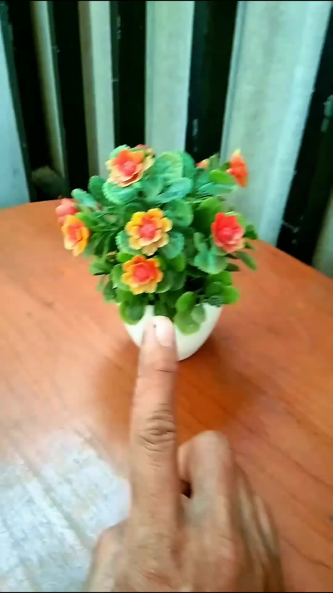 kembang plastik #MyFirstVideoOnHot+ #HOTrctiplus #RCTIPlus 