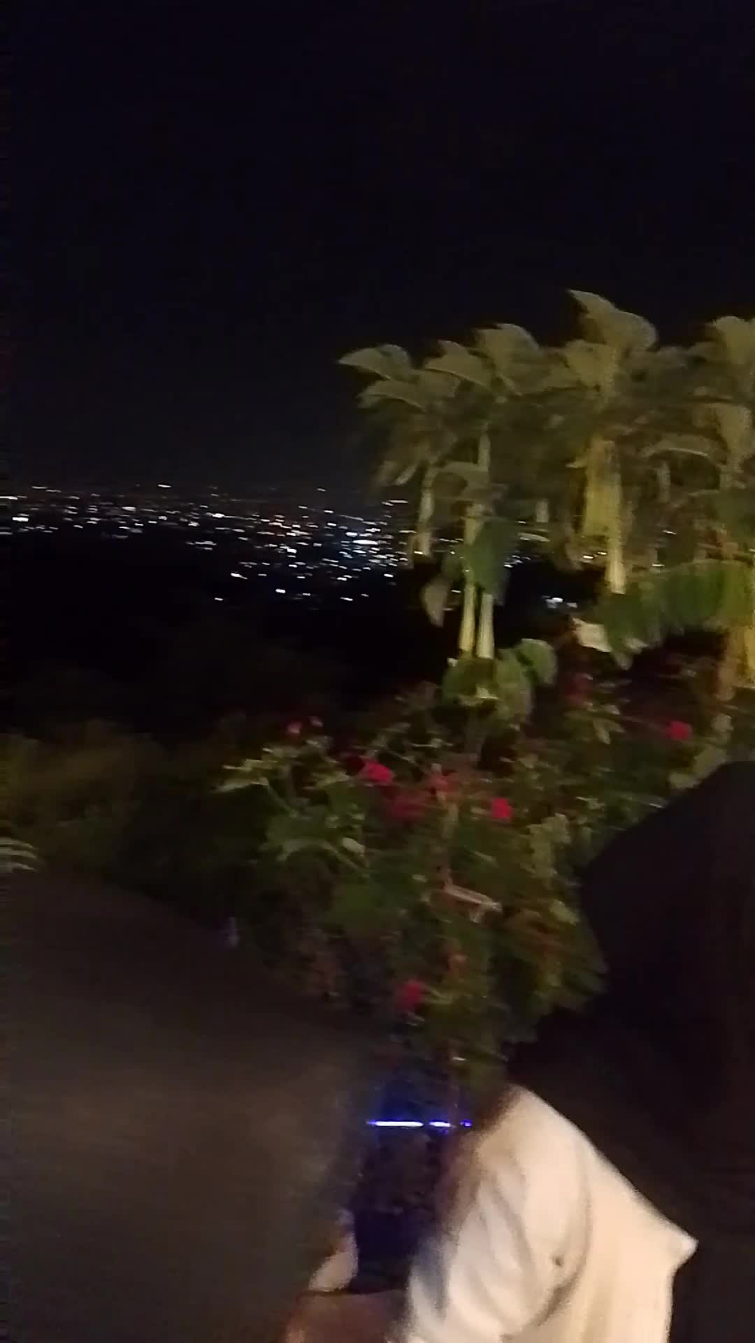 CITY LIGHT KOPI GUNUNG