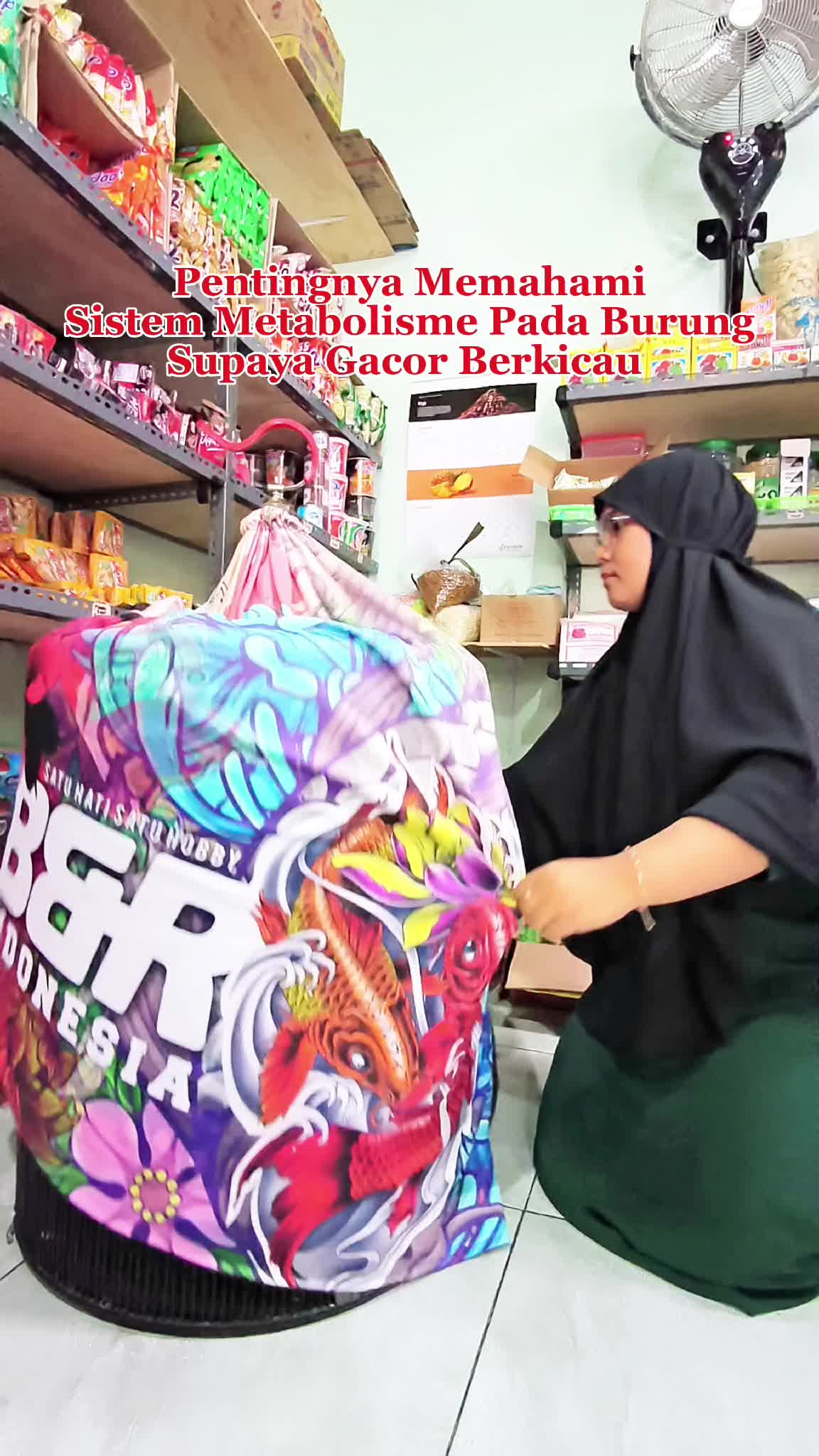 Rawatan Burung Murai Batu Gacor  #murai #muraibatumedan 