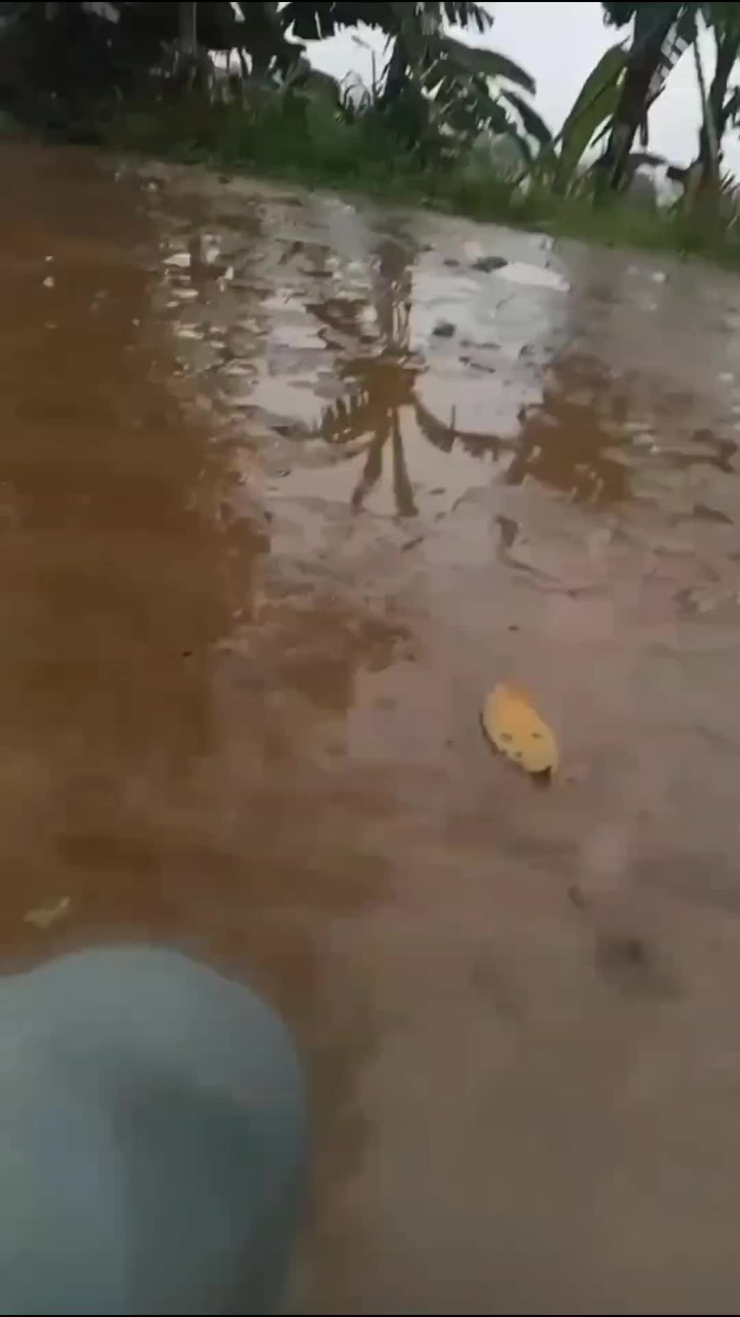 ANTER PAKE MALAH APES
#videolucu