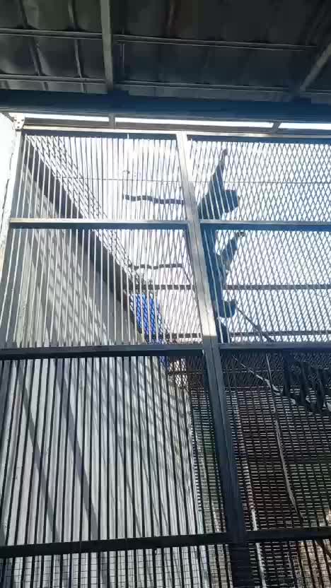 Nama hewan ini apa ya teman-teman ada yang tahu?