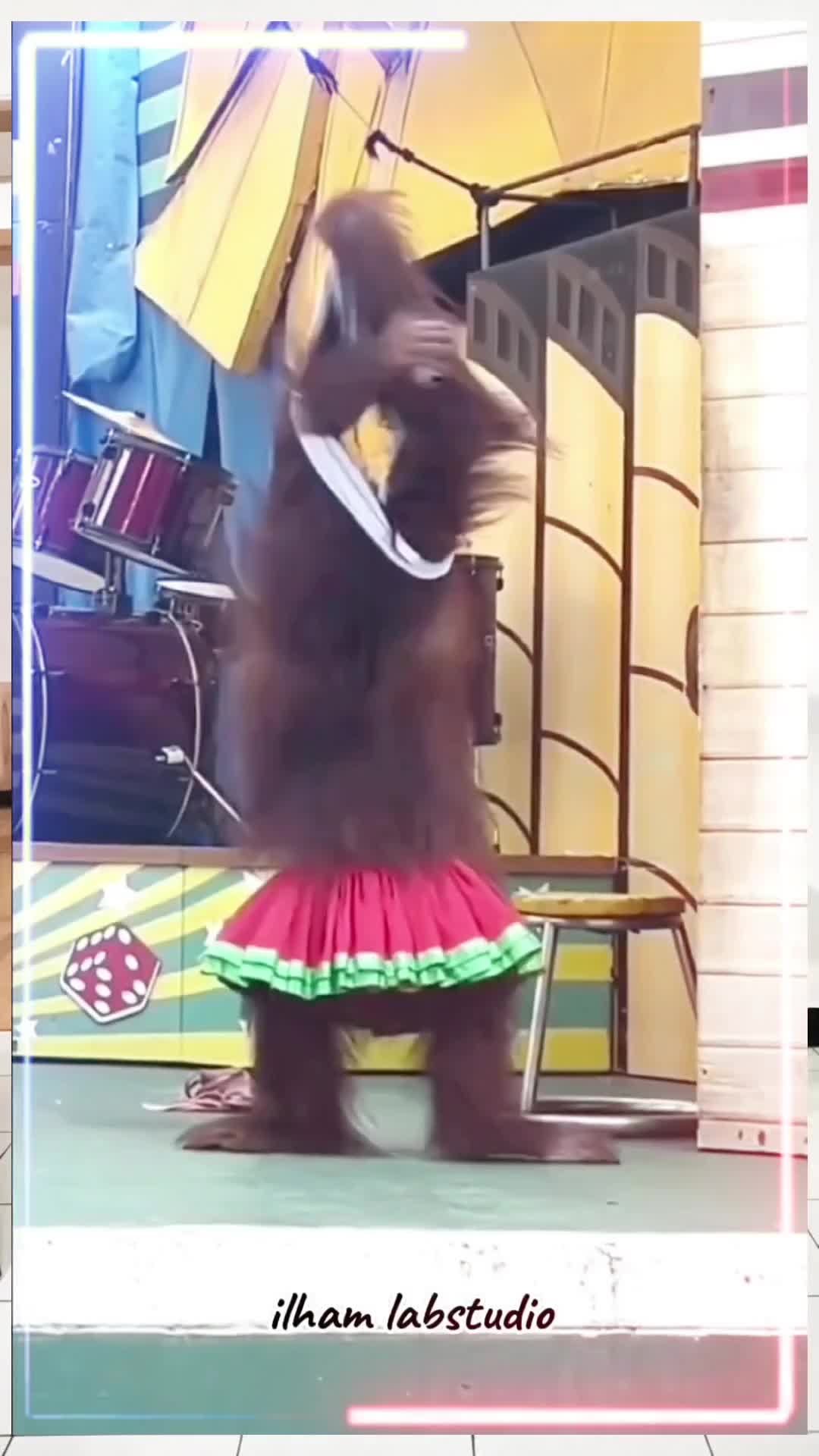 Outfit Cowok Kekinian #komedi #hiburan #lucu #transisilucu #komediseru #ngakak #kocak 