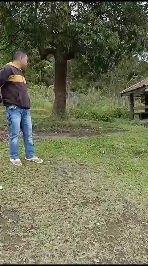 monyet nya bikin rusuh 
 #Viral 