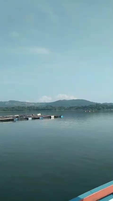 selamat pagii 