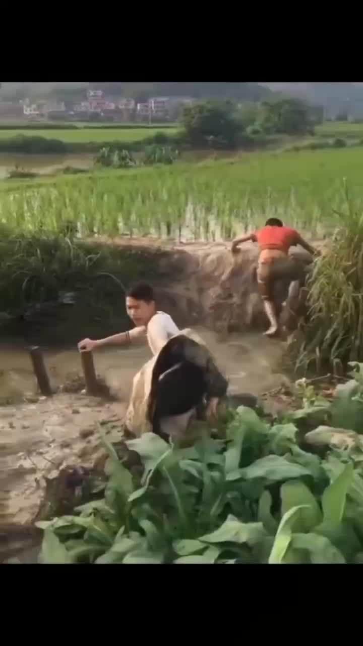 vvsvs