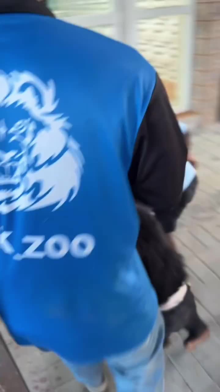 dah lama ga ketemu sama kembaran 😂😂



 #ngakak  #RCTIPlus  #HOTrctiplus  #fyp  #fypシ゚viral  #videolucu 