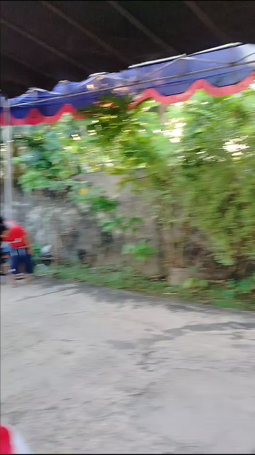 ga jadi ikut lomba, nonton aja deh #17agustus 
