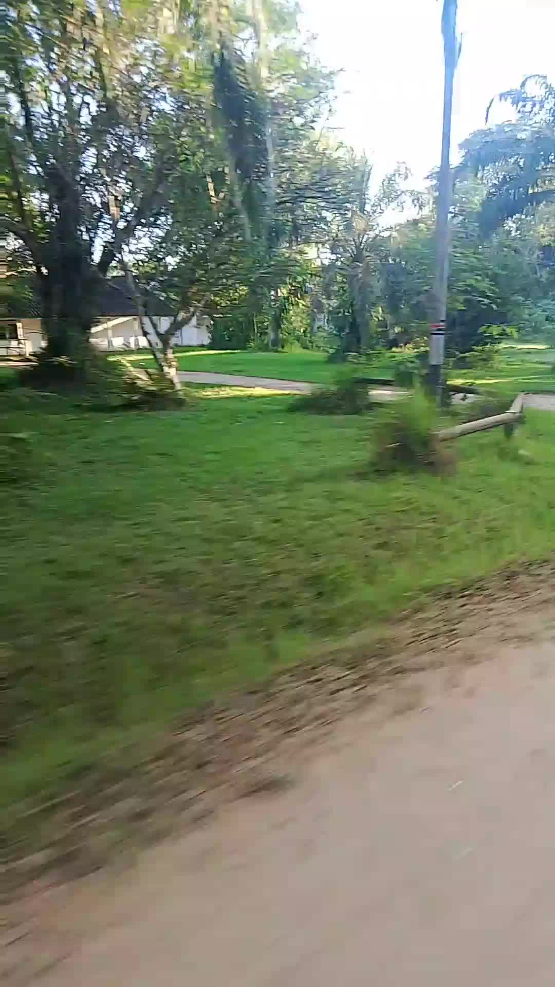 jalan jalan#Kalimantan 