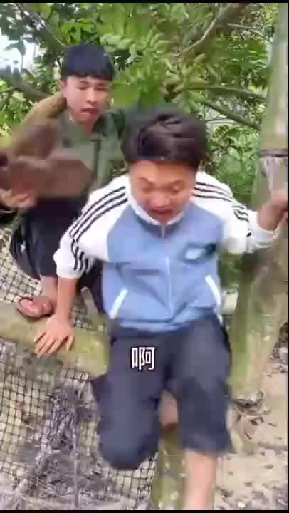 vvvv