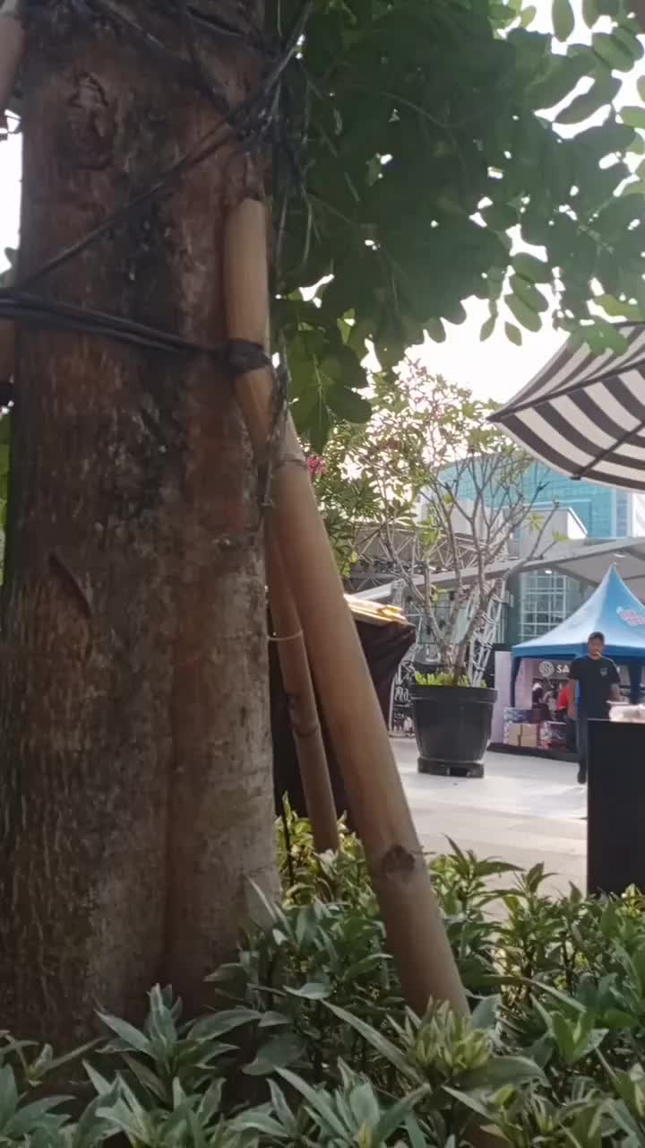 ##SuperShowSports #RCTIPlusNobarTimnas #RCTIPlusSuperApp mantap