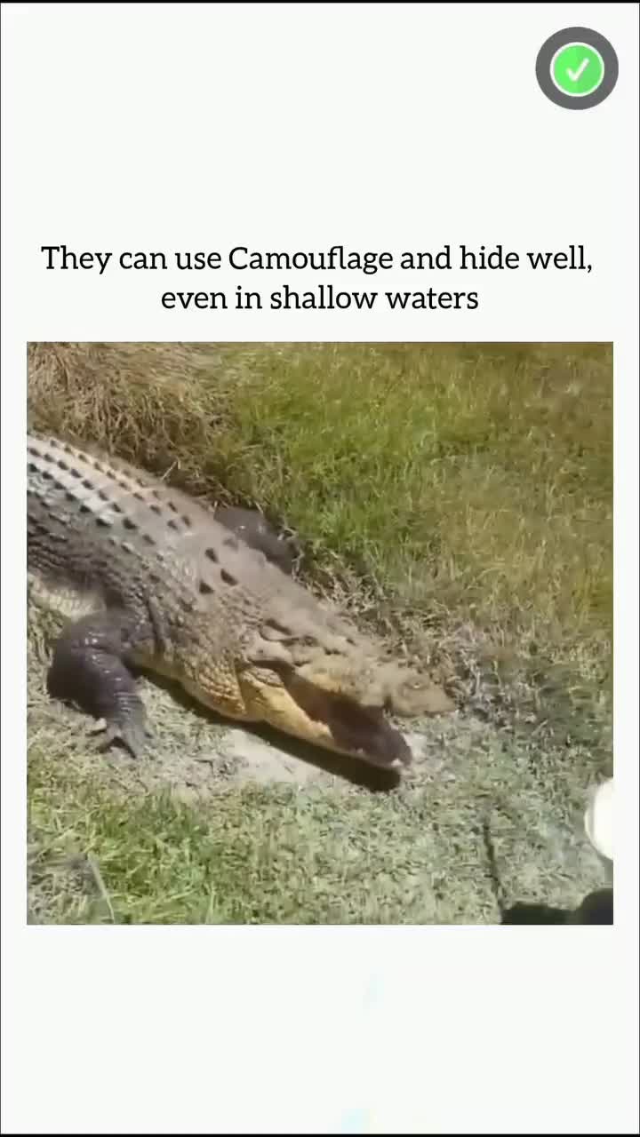 This Will Blow Your Mind! Part 144 🔥 #creativeprocess #innovation #trendingnow #inspiration