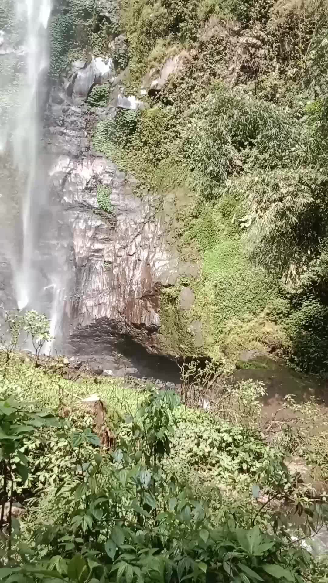 Coban Sanusi Desa Benjor Kec. Tumpang. Malang #airterjun #coban