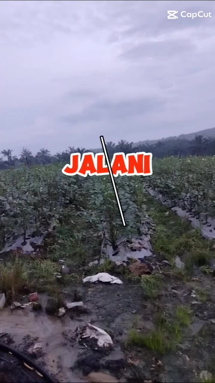 Kerja.. kerja..Tak kerja tak makan