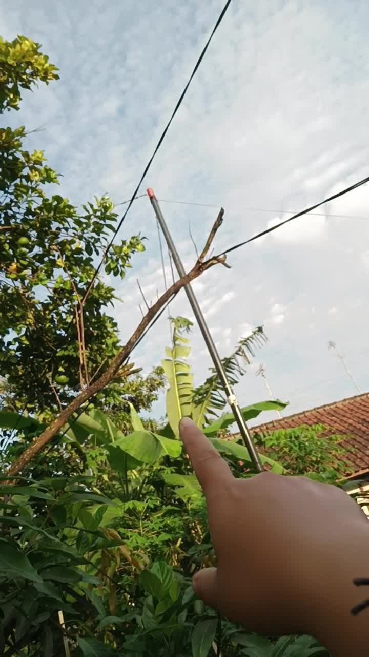 pada busuk busuk buah nya
 #short  #HOTrctiplus  #RCTIPlus  #fyp 