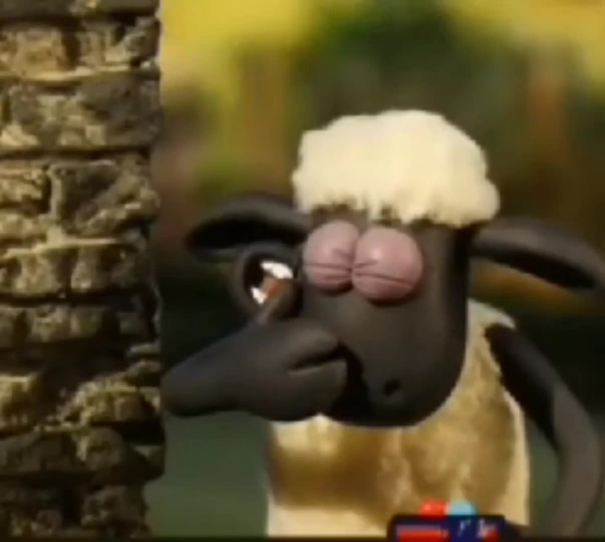 i