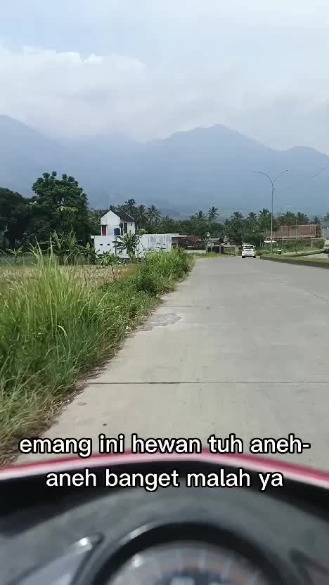 aneh kan #lucu #kocak #lucu_ngakak #jokes #comediahumor #jokesbapak2 #comedy #comedyvideo #jenaka #lucubanget #kocakngakak 
