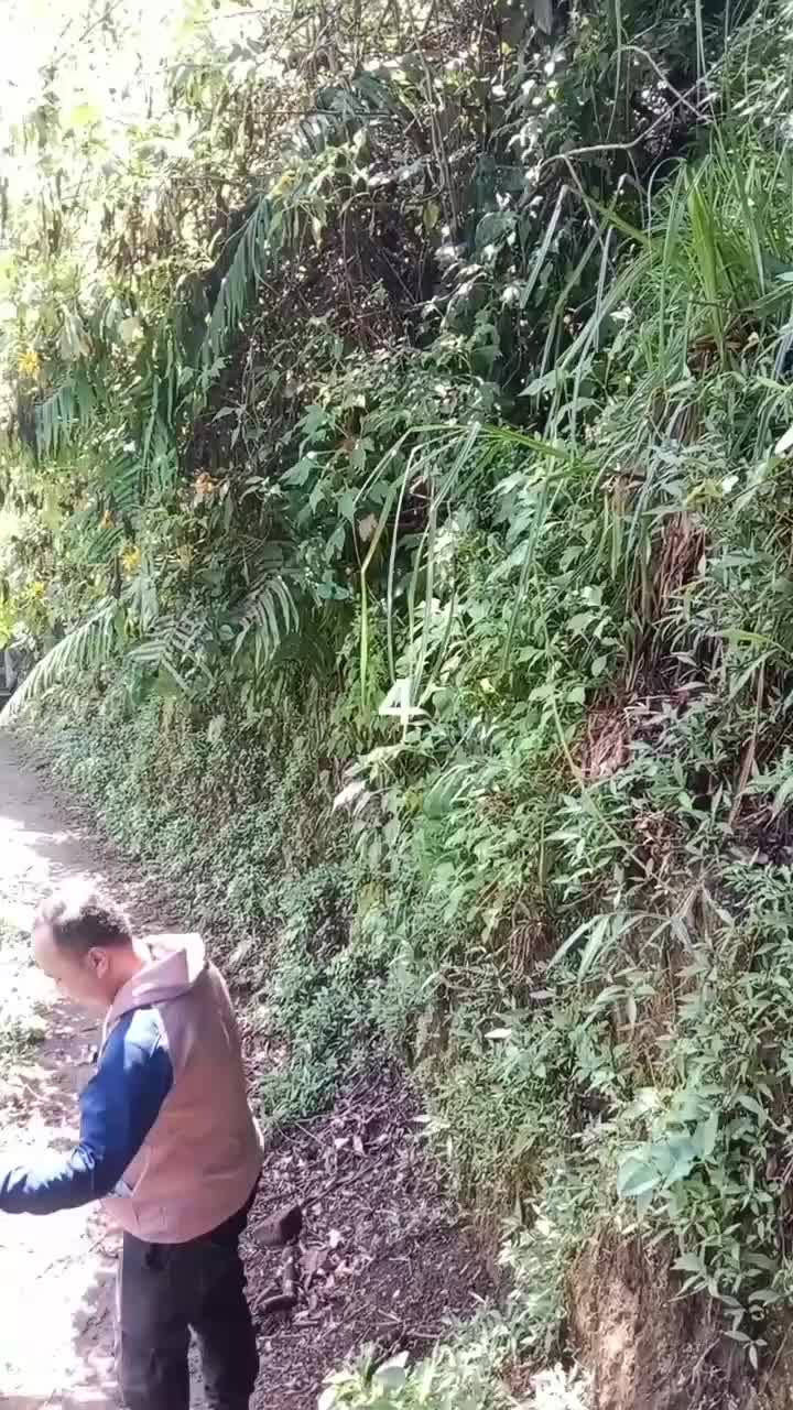 Tracking Air Terjun Coban Srikandi Desa Benjor Kab. Malang Jatim Part4 #tranding  #malangjatim  #airterjun 