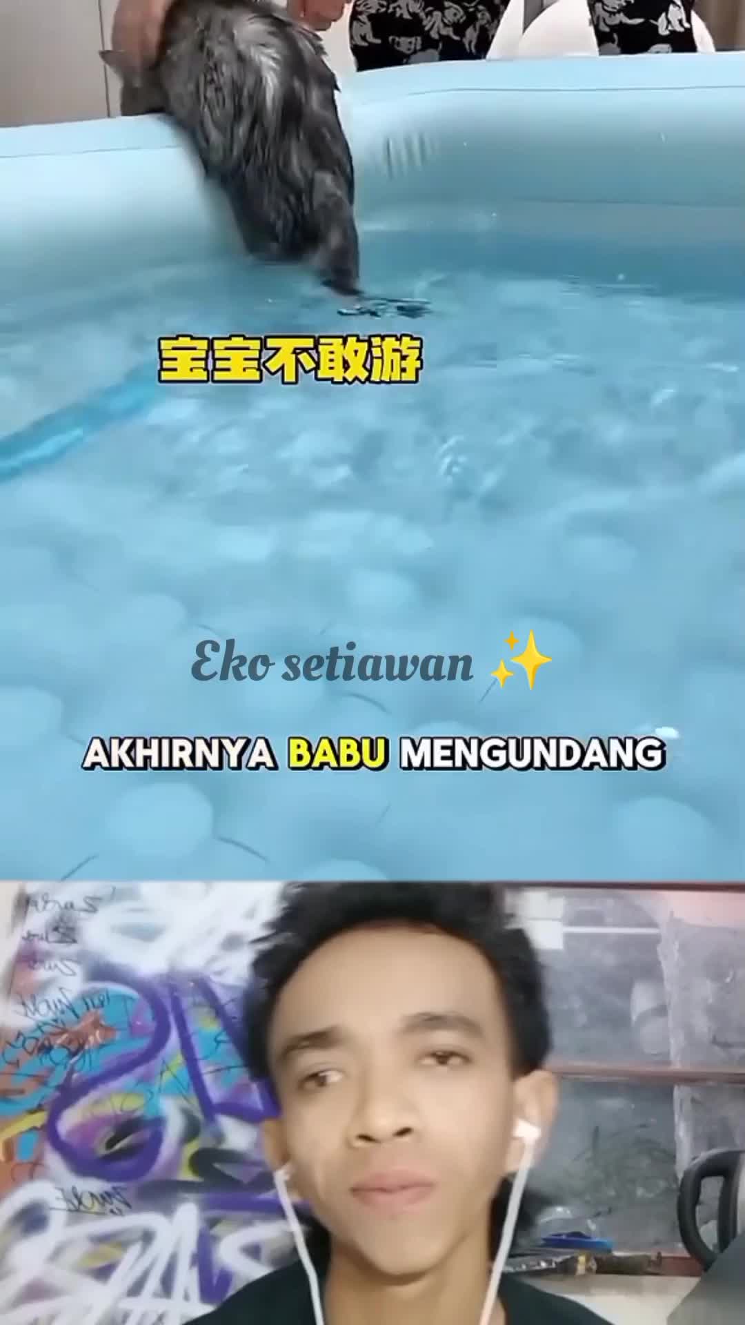 kucing Milo diam diam memperhatikan wanita cantik 😁