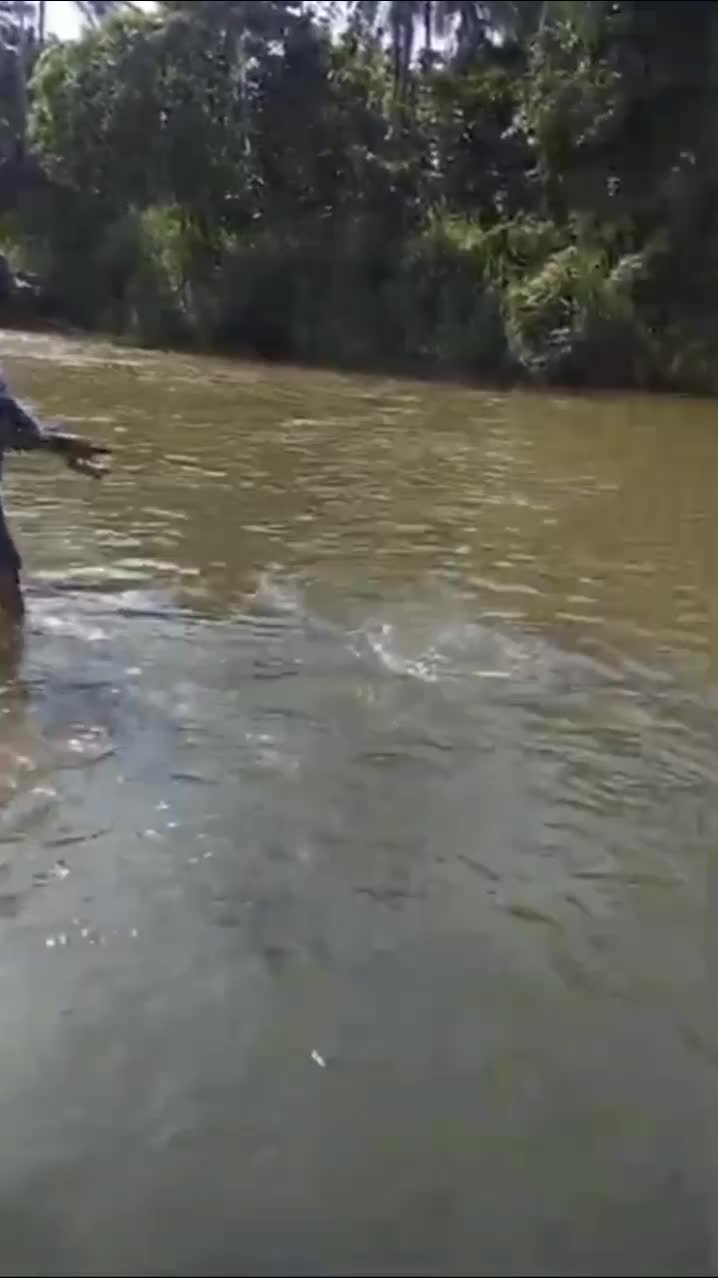 tarikan hampala memang mantap..