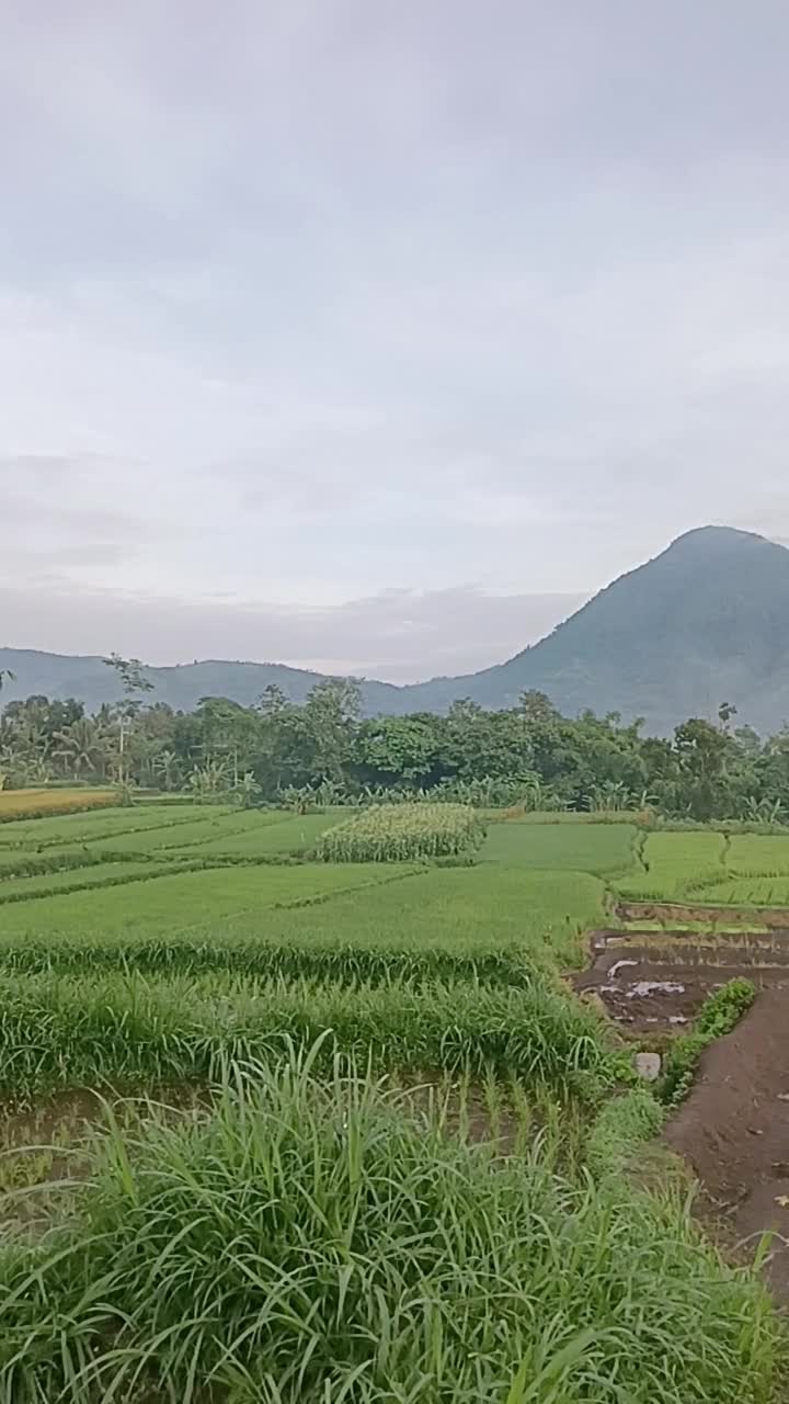 pemandangan nya indah bnget  #short  #HOTrctiplus  #RCTIPlus 