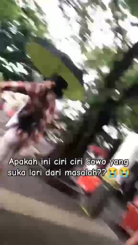 gsgeg