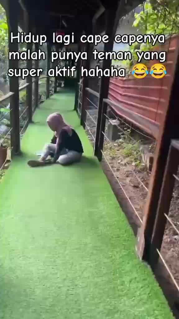 fgg