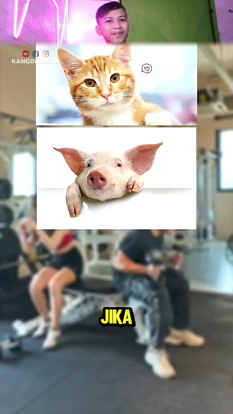 lihat  #RCTIPlus  #HOTrctiplus  #RCTIoke  #rcti 