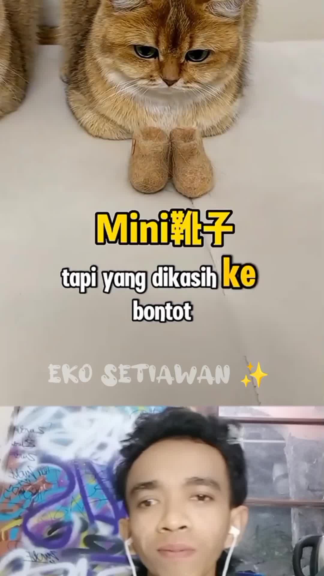 si bontot di kerjain lagi sama babunya ?