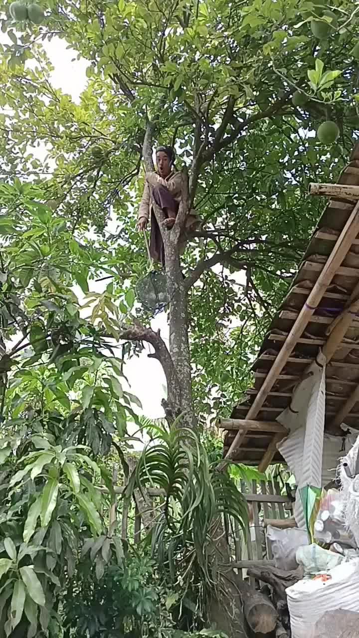 malah ayunan dulu di atas pohon  #short  #HOTrctiplus  #RCTIPlus  #fyp 
