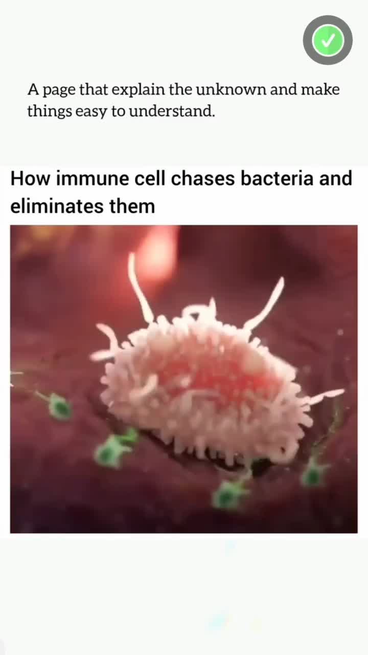 This Will Blow Your Mind! Part 90 🔥 #crativeprocess #innovation #trendingnow #inspiration