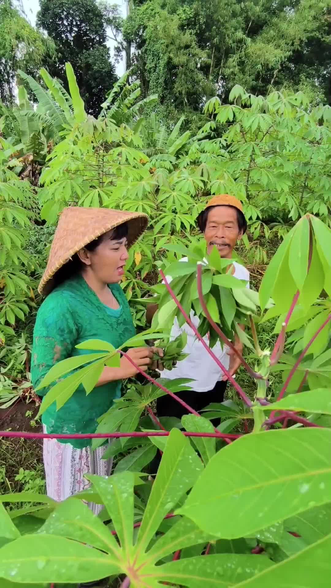 Nguneur lalab  #komedi #RCTIPlus 