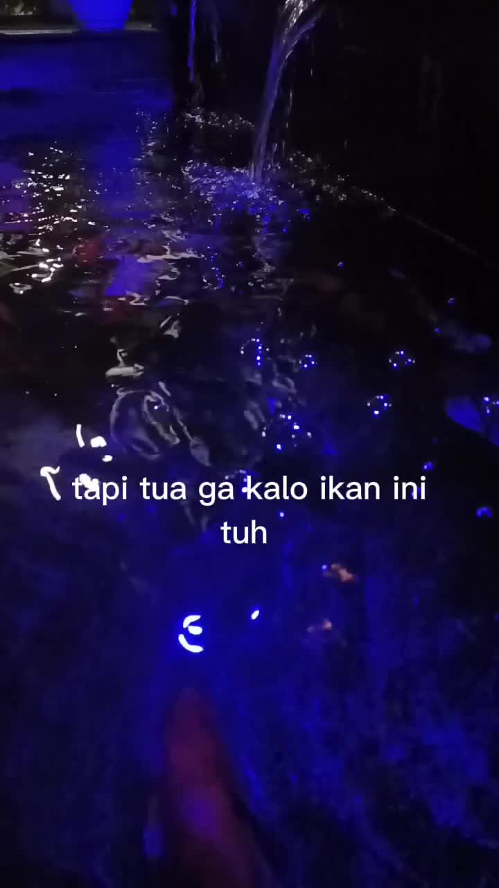 pantes ga bisa renang #lucu #kocak #lucu_ngakak #jokes #comediahumor #jokesbapak2 #comedy #comedyvideo #jenaka #lucubanget #kocakngakak 