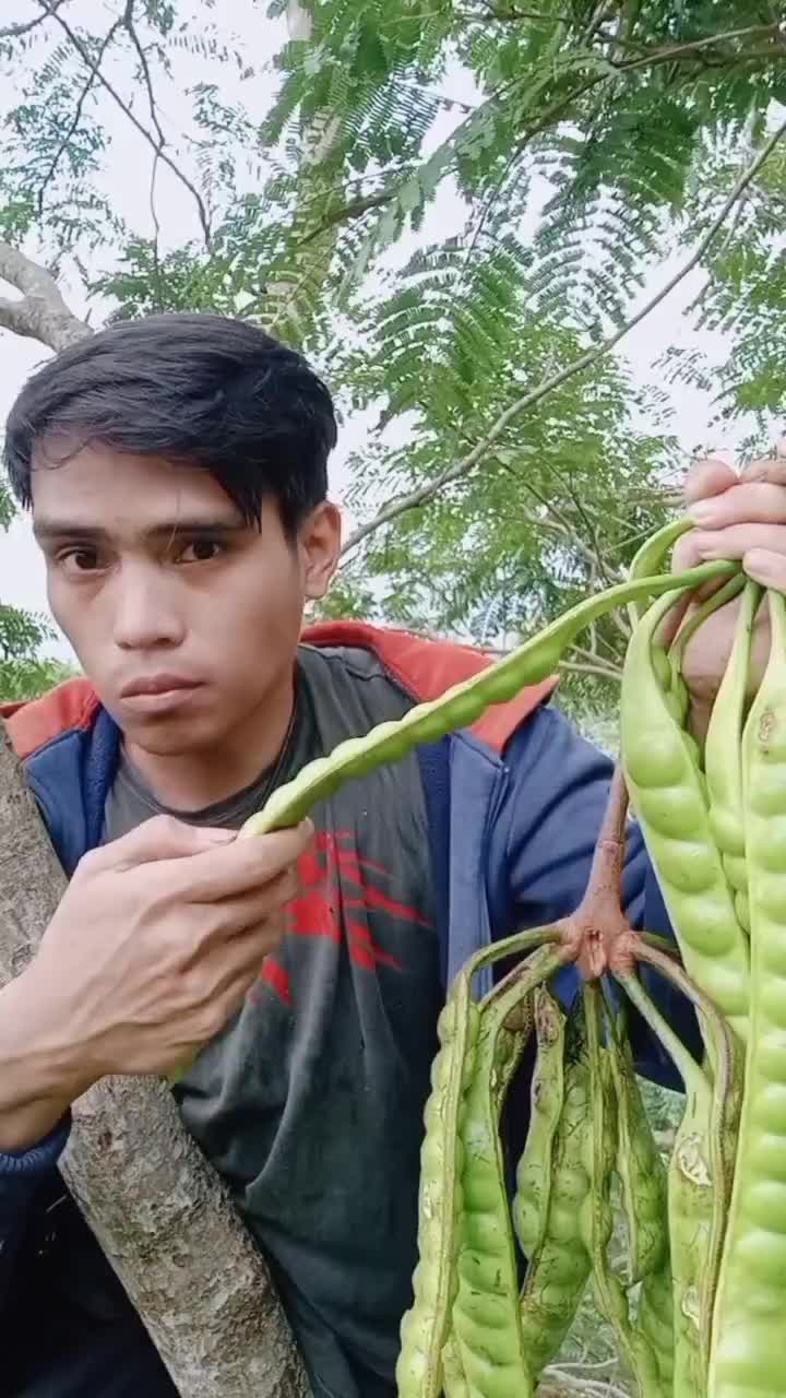 langsung dari pohonnya biar greget
