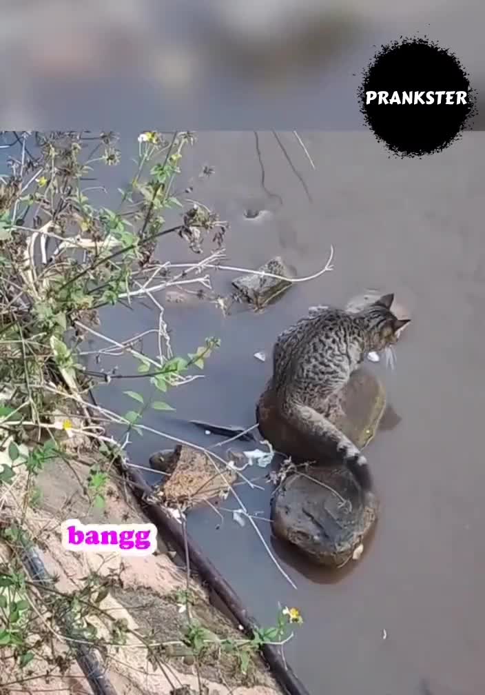 #413 Mancing dulu kawan 🤣
#videolucu #prank 