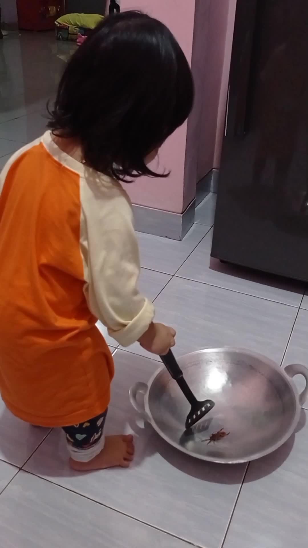 kecoa goreng🤣🤣🤣