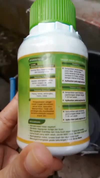Nutrisi tanaman untuk melebatkan daun dan buah  #nutrisidaun   #pupuktanaman  