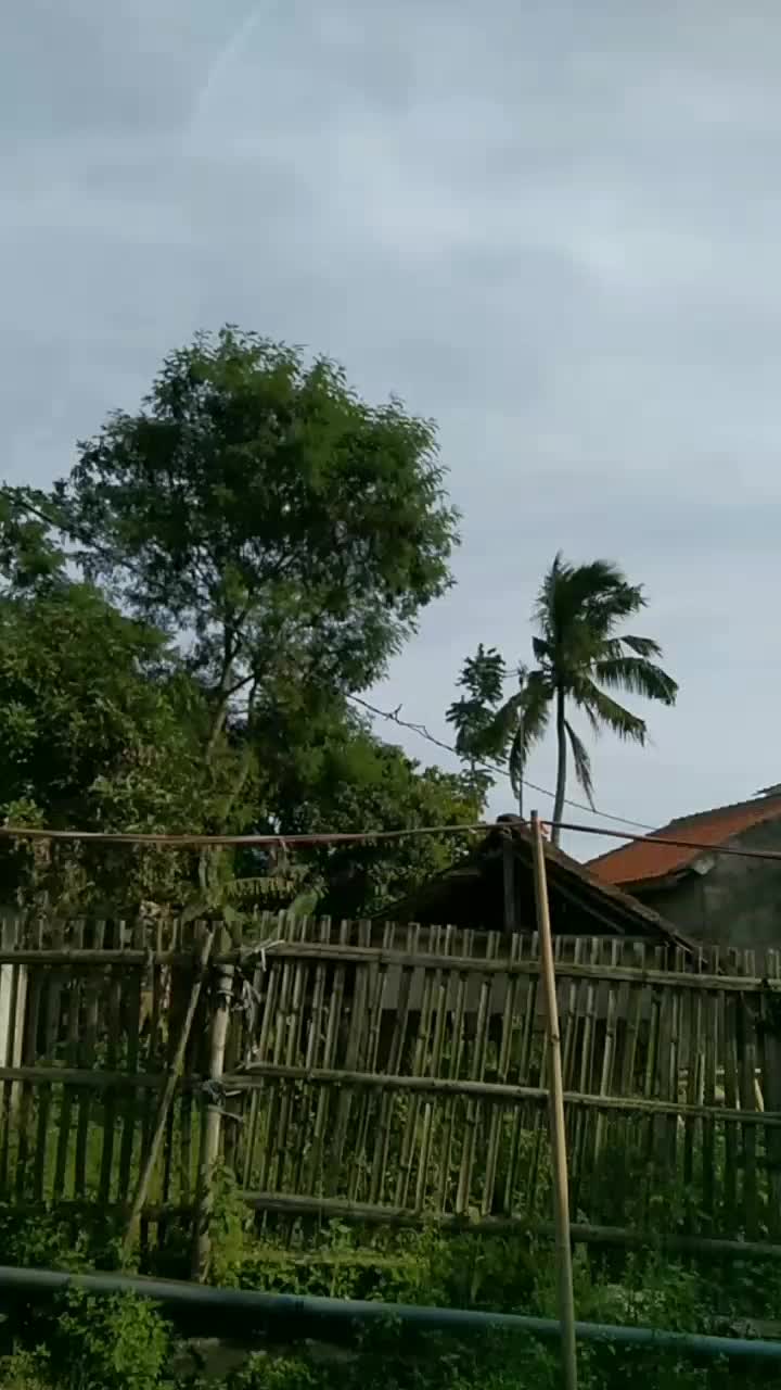 angin sepoi-sepoi  #short  #HOTrctiplus  #RCTIPlus 