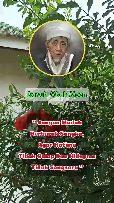 Dawuh Guru #KhMaimoenZubair #ngaji #gusbaha #gusbahaonline #gusiqdam #GusKautsar #NU