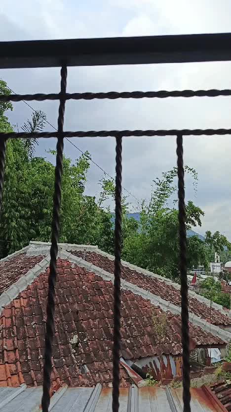 cover-image