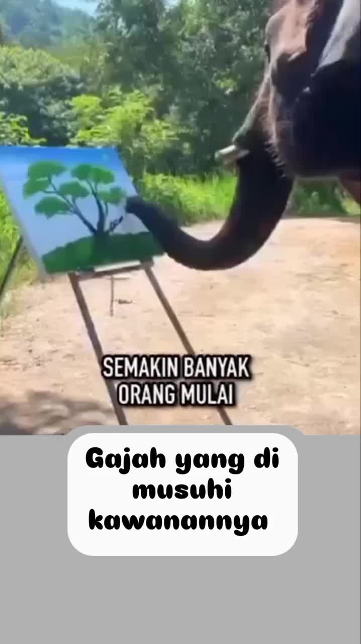 gajah juga pnya kelebihan dan pnya perasaan 💞

#RCTIPlus #RCTIoke #HOTrctiplus #fypシ゚viral #1TRENDING #mahmud #mamahmudaberanaktiga 