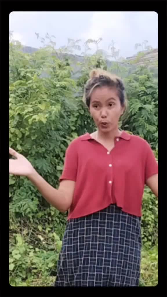 mau metik ciplukan vidio dulu. 