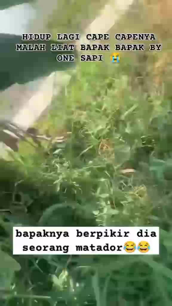 bbab
