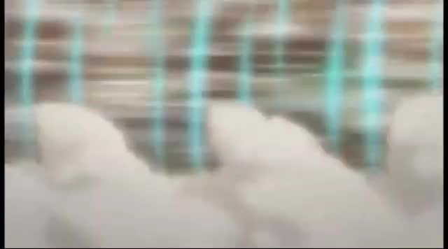  #onepiece
