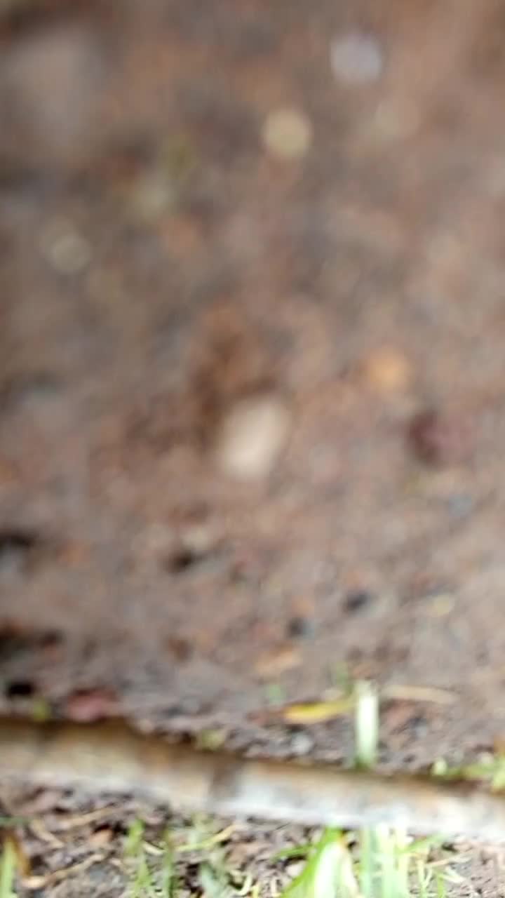 gagal estetik, malah kena jemuran baju😅