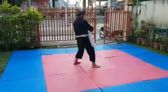 Silek Tuo - Jurus Tunggal #silektuo #silekminang #silatindonesia #shorts #CapCut #fyp #flks #flf #trending #viral #ViralDiShoopee #shopeeafi