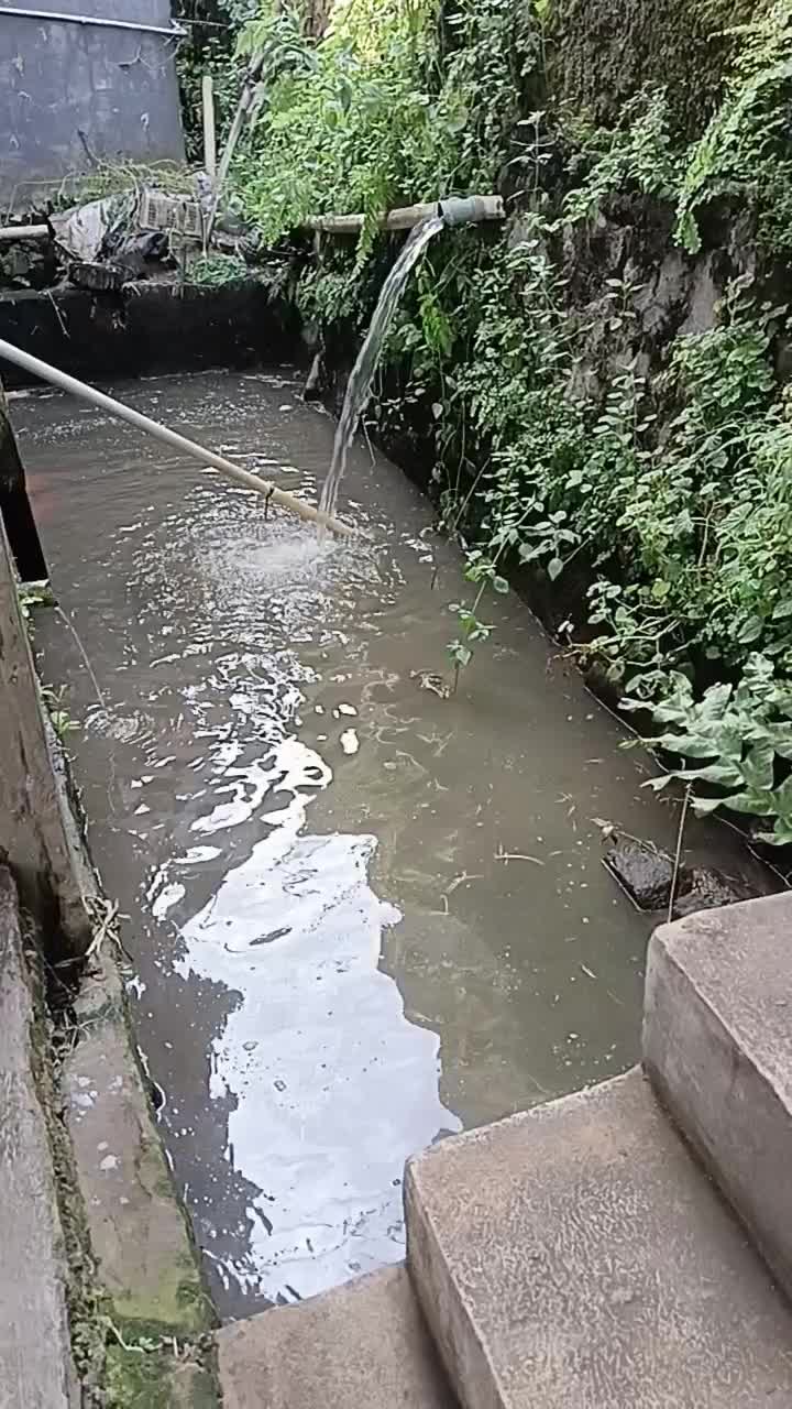 di sini tu mau musim hujan atau kemarau alhamdulillah air nya tetap subur
 #short  #HOTrctiplus  #RCTIPlus  #fyp 