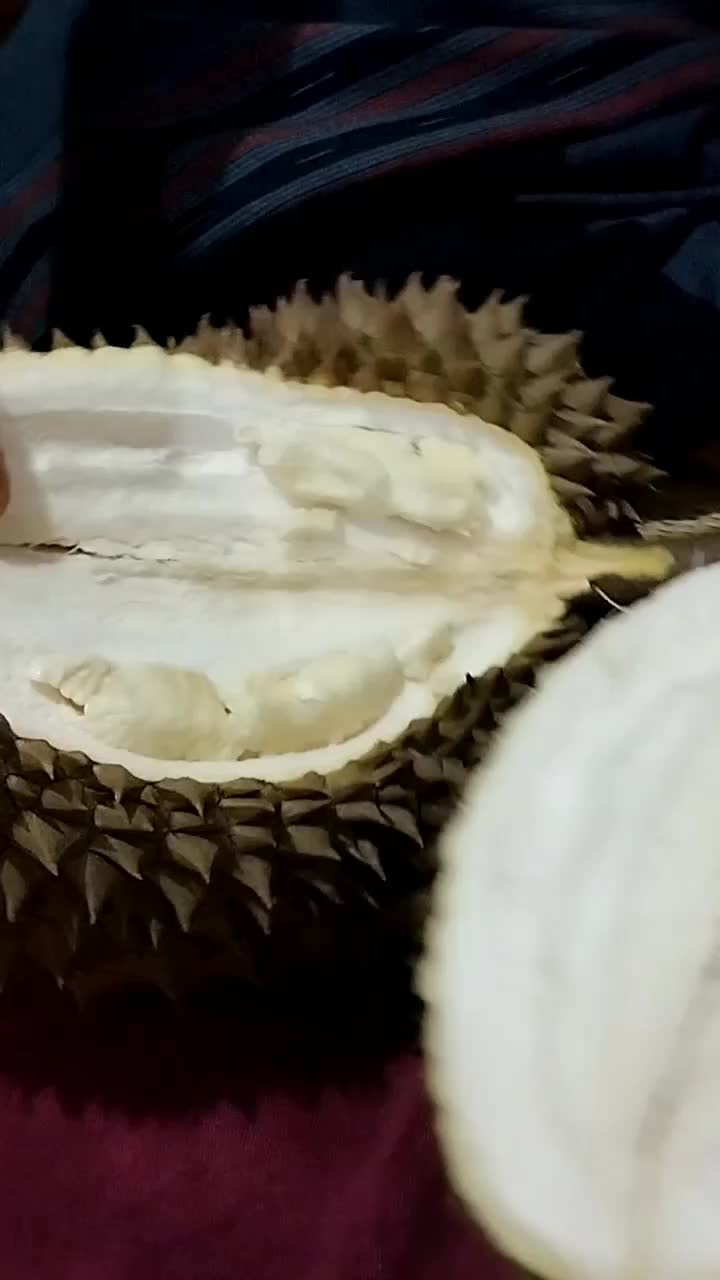 Belah Duren Guys

 #wisatakuliner  #mencaribuahdurian  #Pov ketika lo ga suka durian 